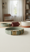 Sage Canvas Dog Collar