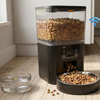 Auto Pet Server