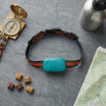 All-Weather Pet Locator