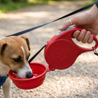 Travel Pet Kit: Bottle, Cup & Rope