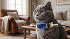 Smart GPS Pet Locator Collar