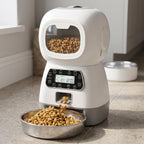 Smart Pet Meal Station