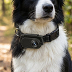 PetCam Tracker