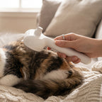 Pet Hair Spray Brush