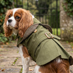 Chic Pet Threads